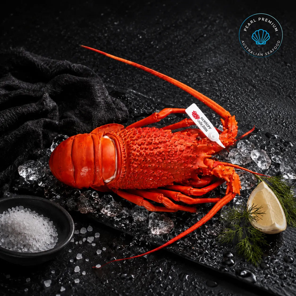 Frozen cooked eastern rock lobster displayed whole on black slate over crushed ice with lemon