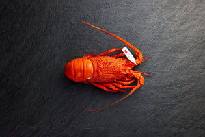 Frozen Eastern Rock Lobster Cooked