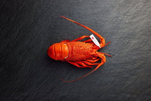  Frozen Eastern Rock Lobster Cooked