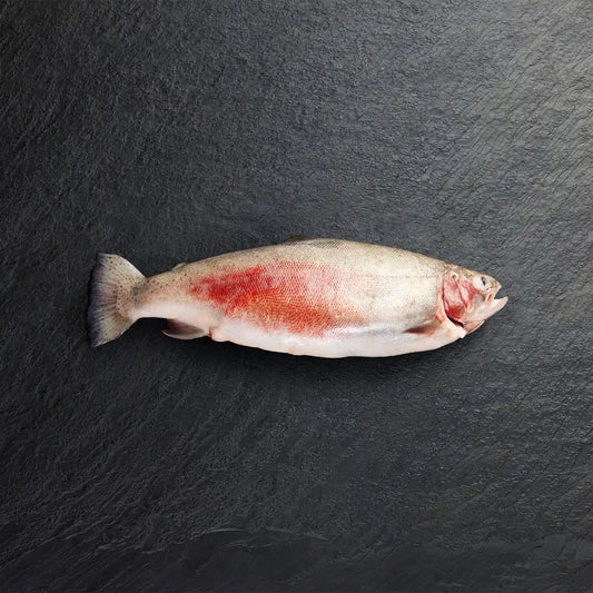 Fresh Whole Ocean Trout