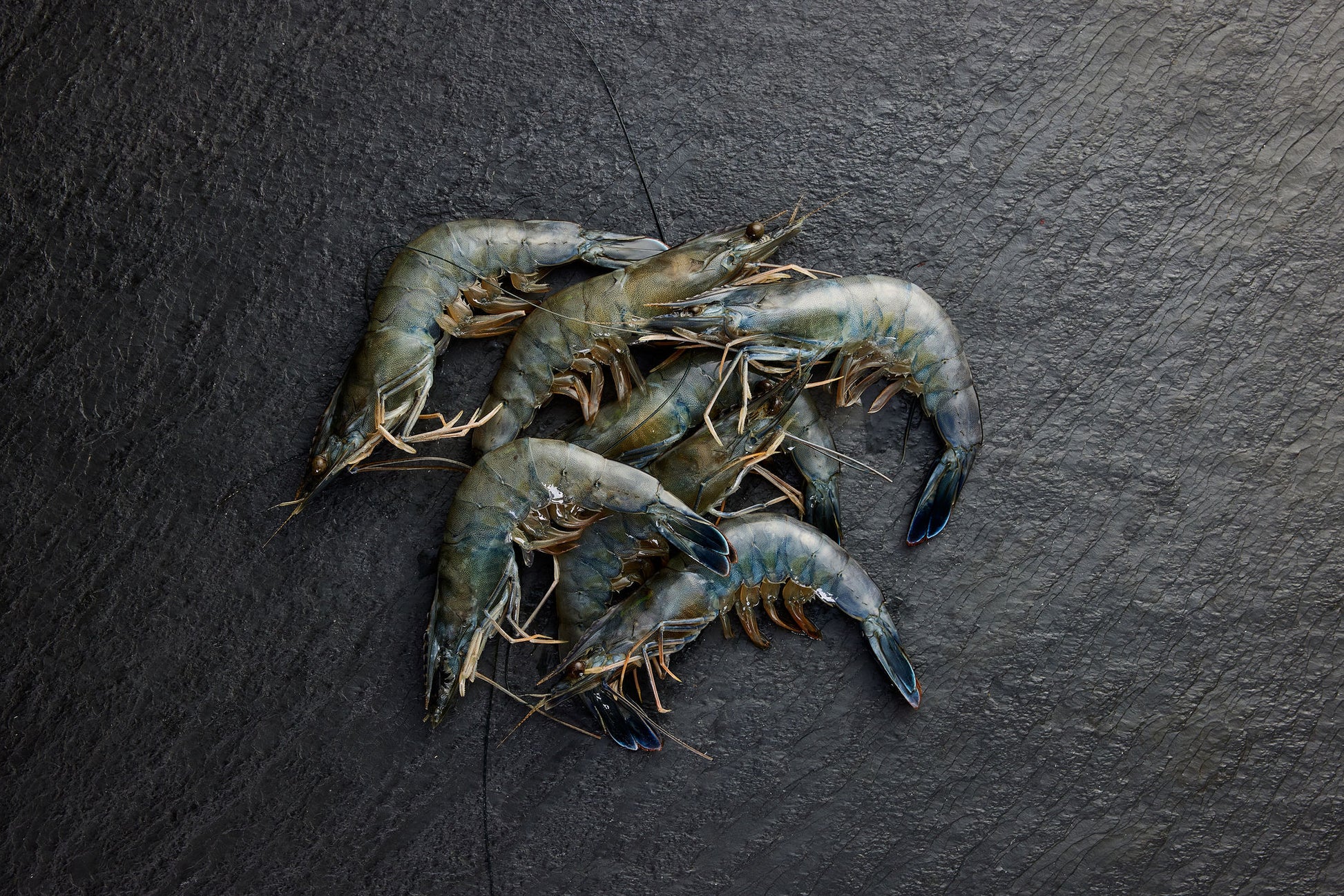 Frozen Paradise Prawns