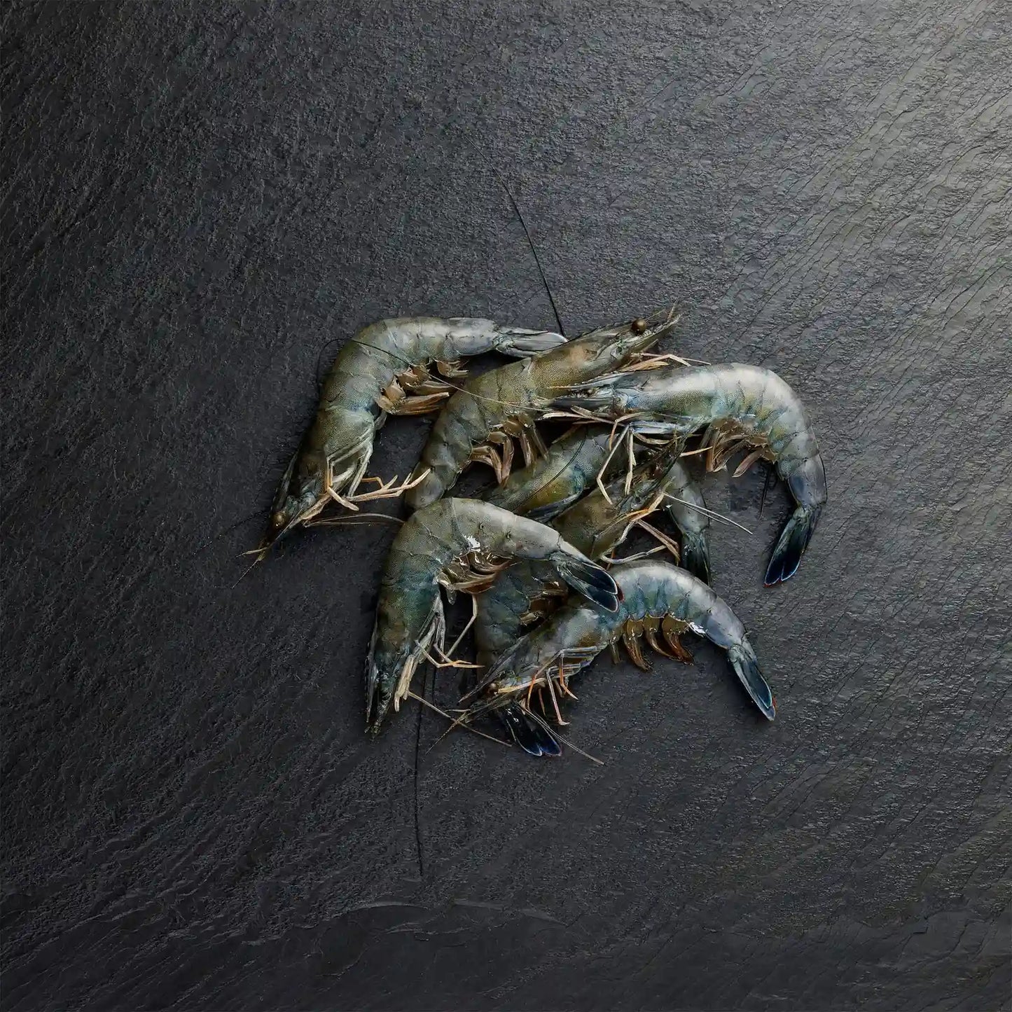 Frozen Paradise Prawns - Pearl Seafoods