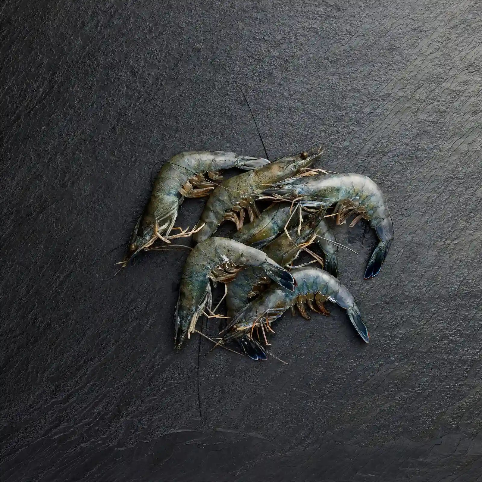 Frozen Paradise Prawns - Pearl Seafoods