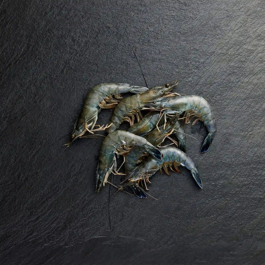 Frozen Paradise Prawns - Pearl Seafoods
