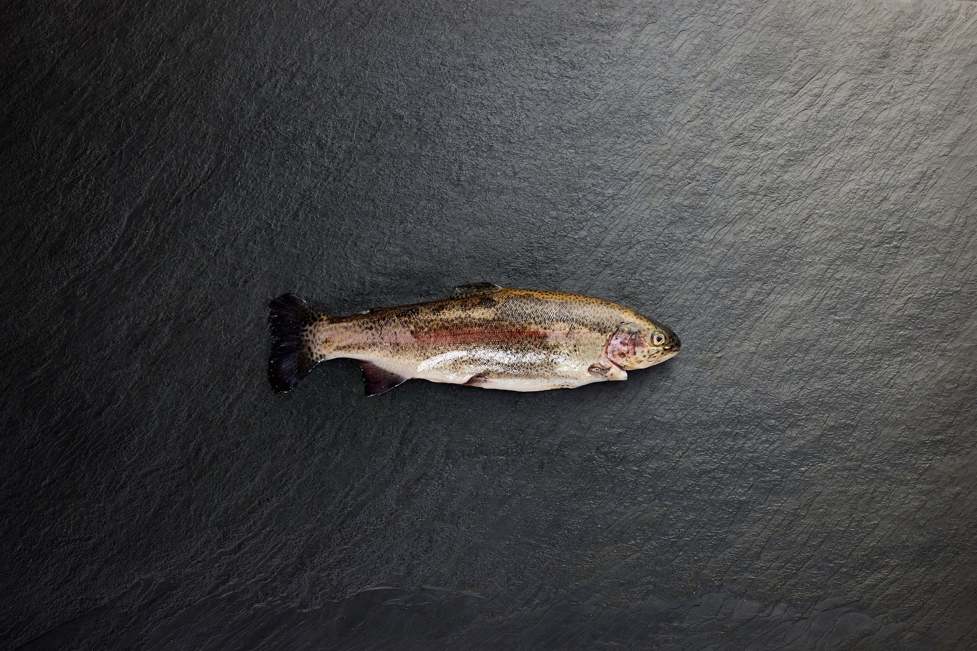  Chilled Rainbow Trout Whole