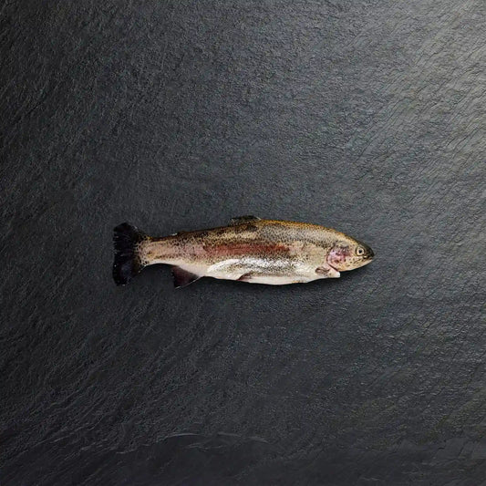 Fresh Whole Rainbow Trout
