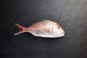 Chilled Snapper Whole