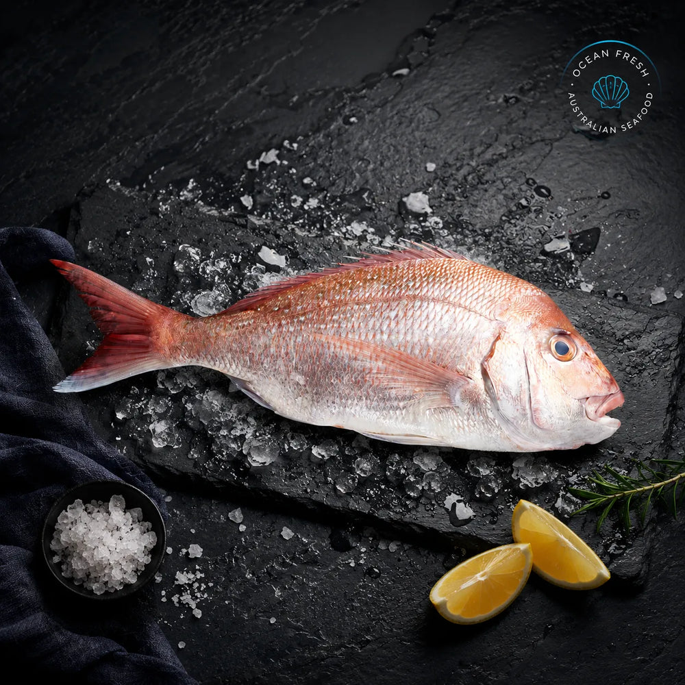 Fresh Whole Snapper - Pearl Seafoods