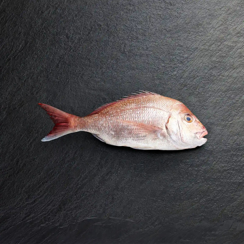 Fresh Whole Snapper - Pearl Seafoods