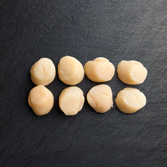 Fresh Scallop Sashimi Trays - Pearl Seafoods