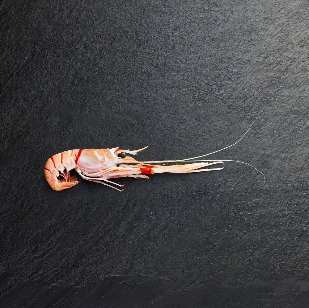 Frozen Scampi - Pearl Seafoods