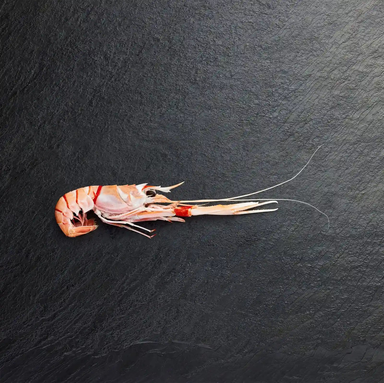 Frozen Scampi - Pearl Seafoods