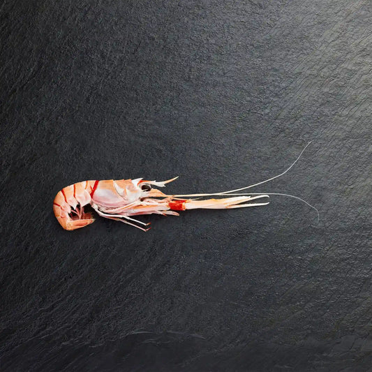 Frozen Scampi - Pearl Seafoods