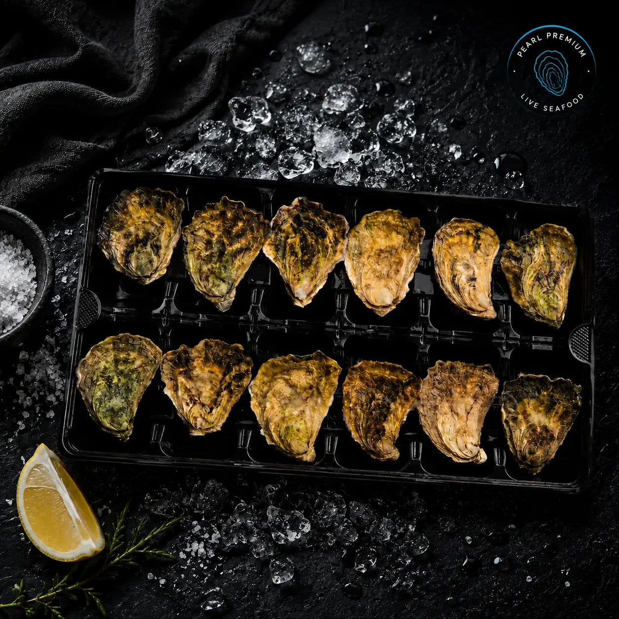 Live sydney rock oysters arranged in a tray on crushed ice with lemon