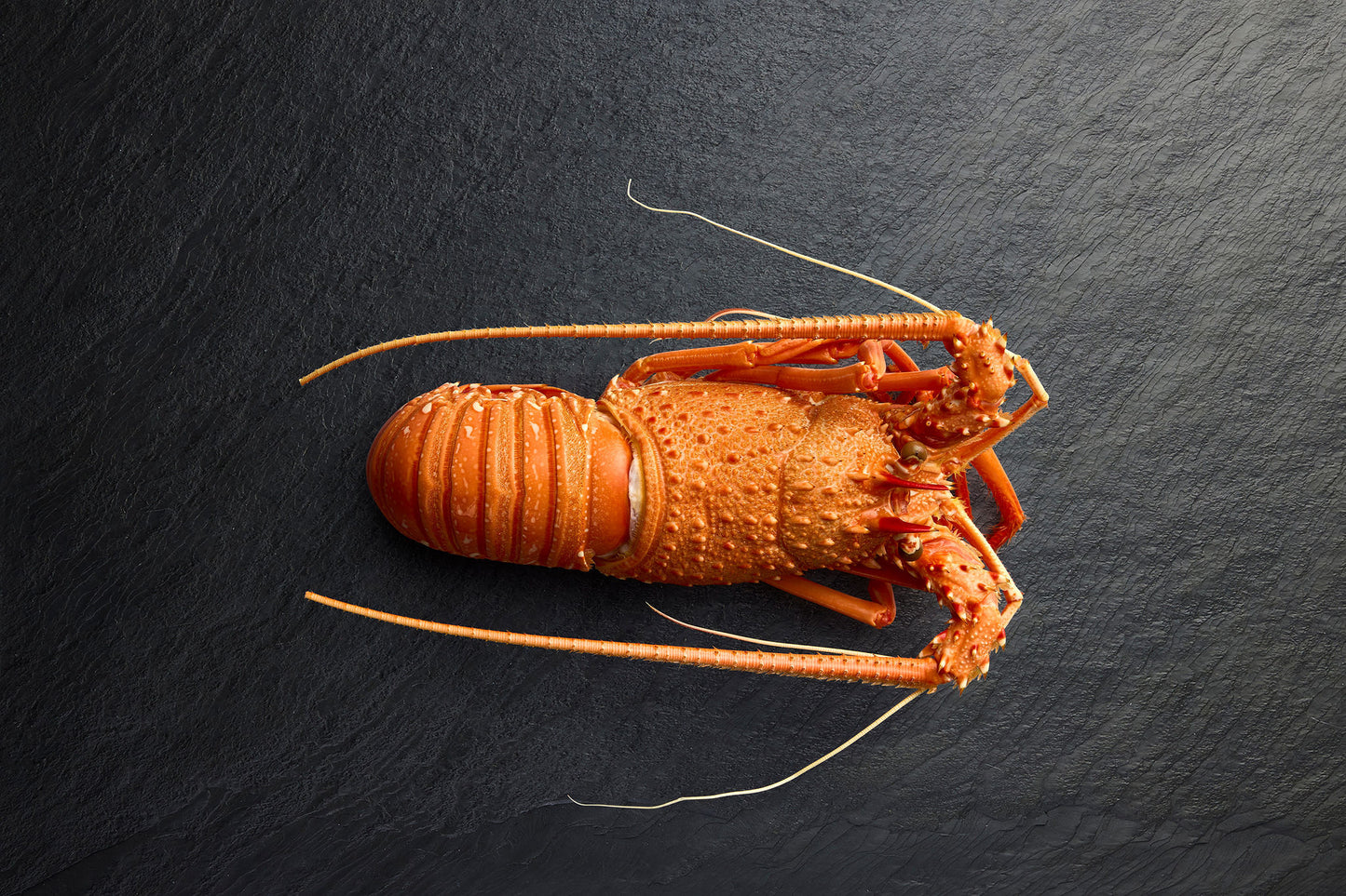 Frozen Western Rock Lobster Cooked