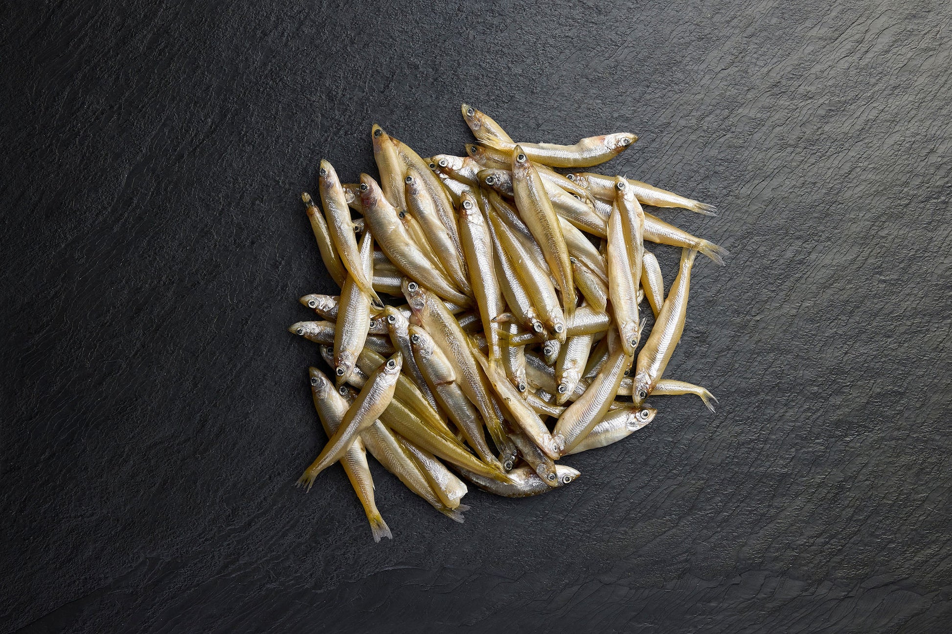 Frozen Western Australian Whitebait Whole