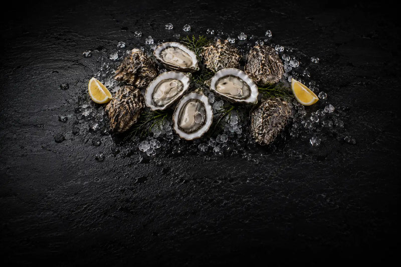 Oyster Bar