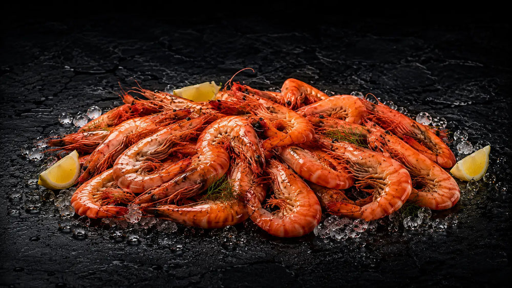 Premium Prawns