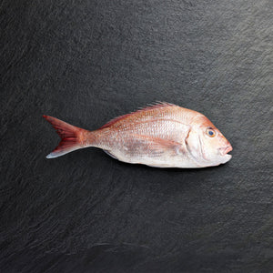 Chilled Snapper Whole