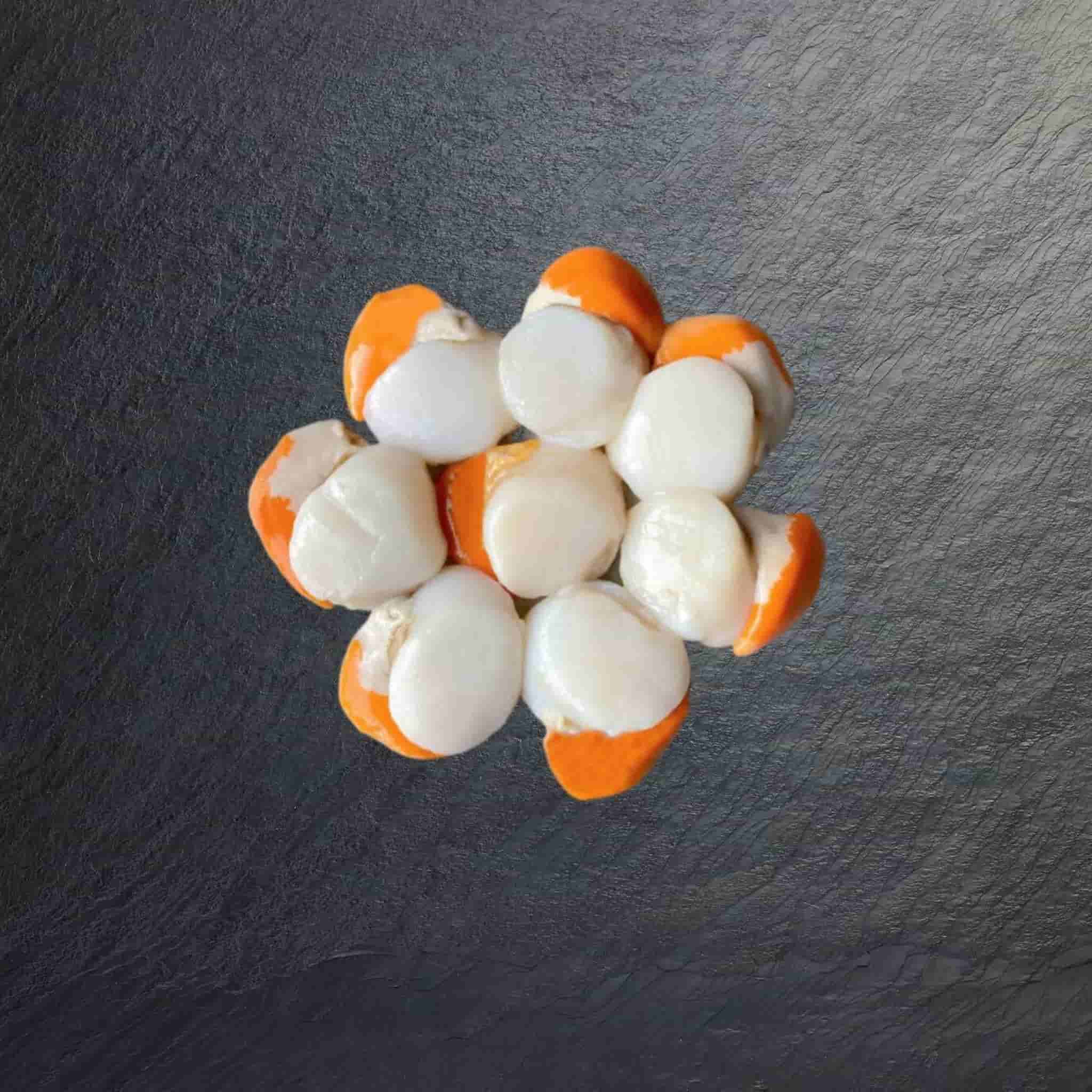 Fresh Tasmanian Scallop Meat with Roe On | Pearl Seafoods