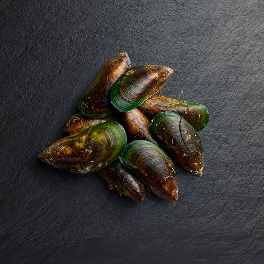 Frozen Greenlip Mussels - Pearl Seafoods