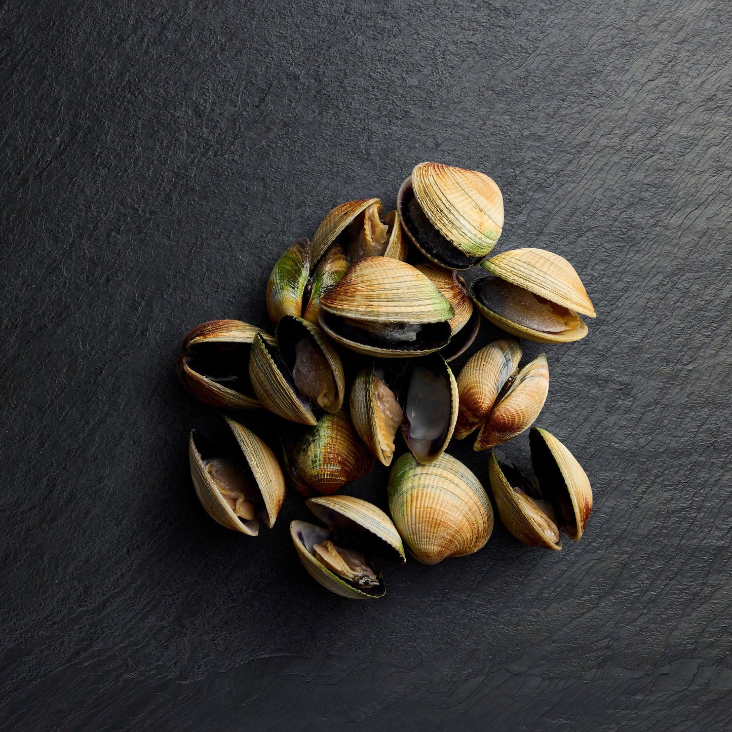 Frozen Littleneck Clams - Pearl Seafoods