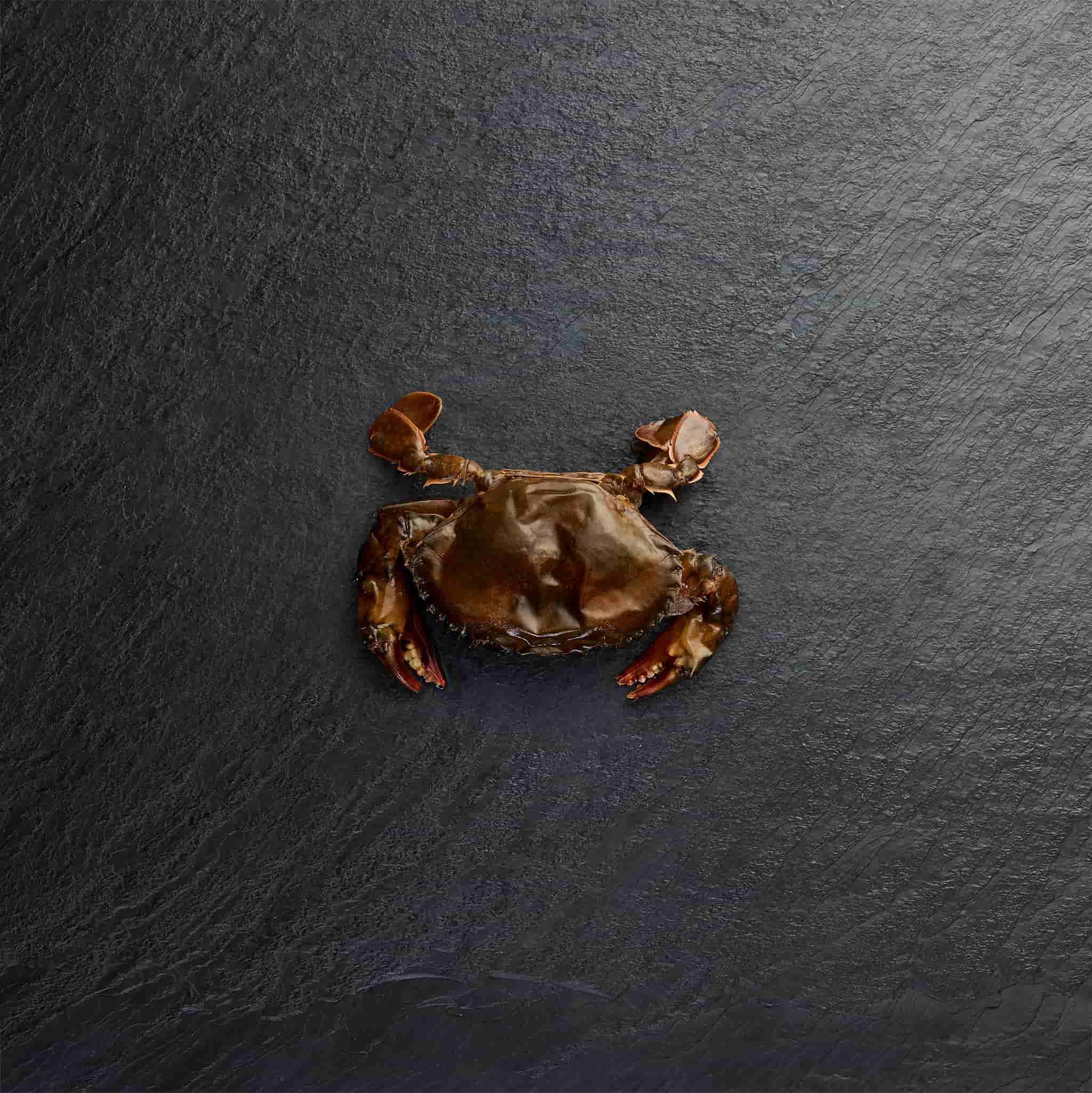 Frozen Softshell Crab | Sydney's Premium Crab Selection – Pearl Seafoods