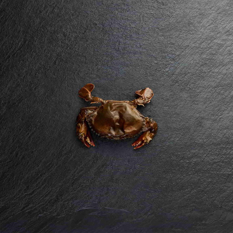 Frozen Softshell Crab - Pearl Seafoods