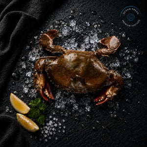 Whole frozen soft-shell crab displayed on black slate with crushed ice and lemon