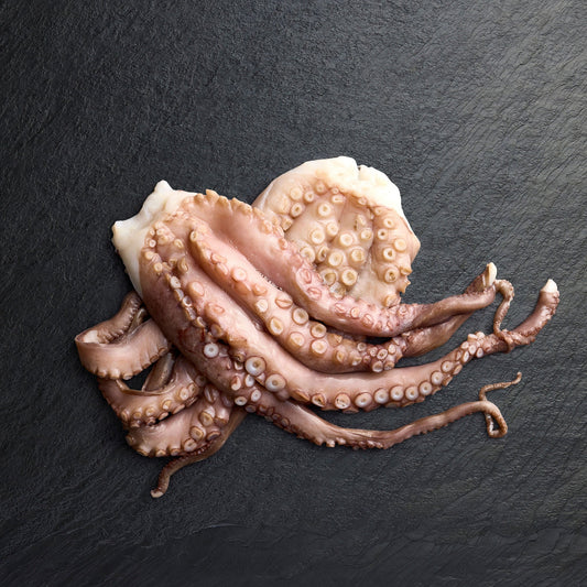 Frozen Western Australia Octopus Hands - Pearl Seafoods