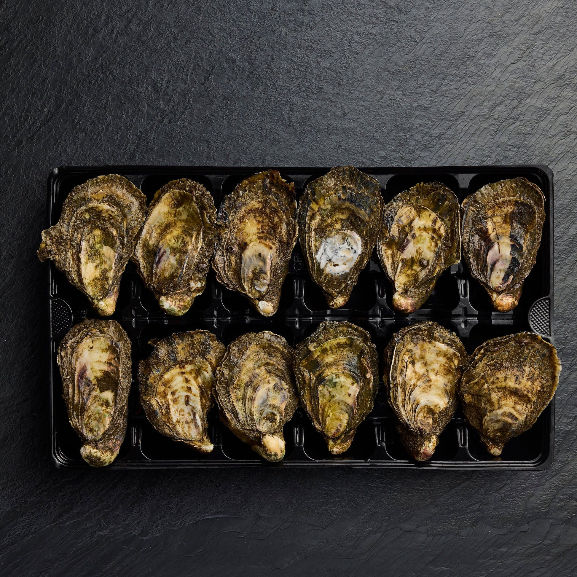 Live Pacific Oysters - Pearl Seafoods